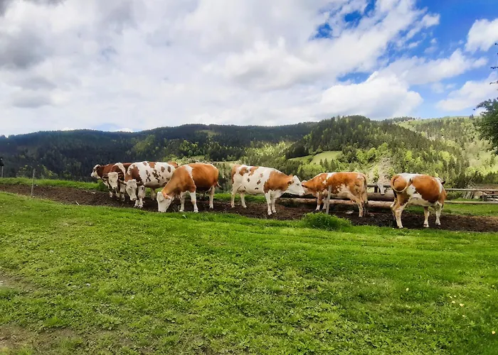 Apartments Organic Tourist Farm Gradisnik