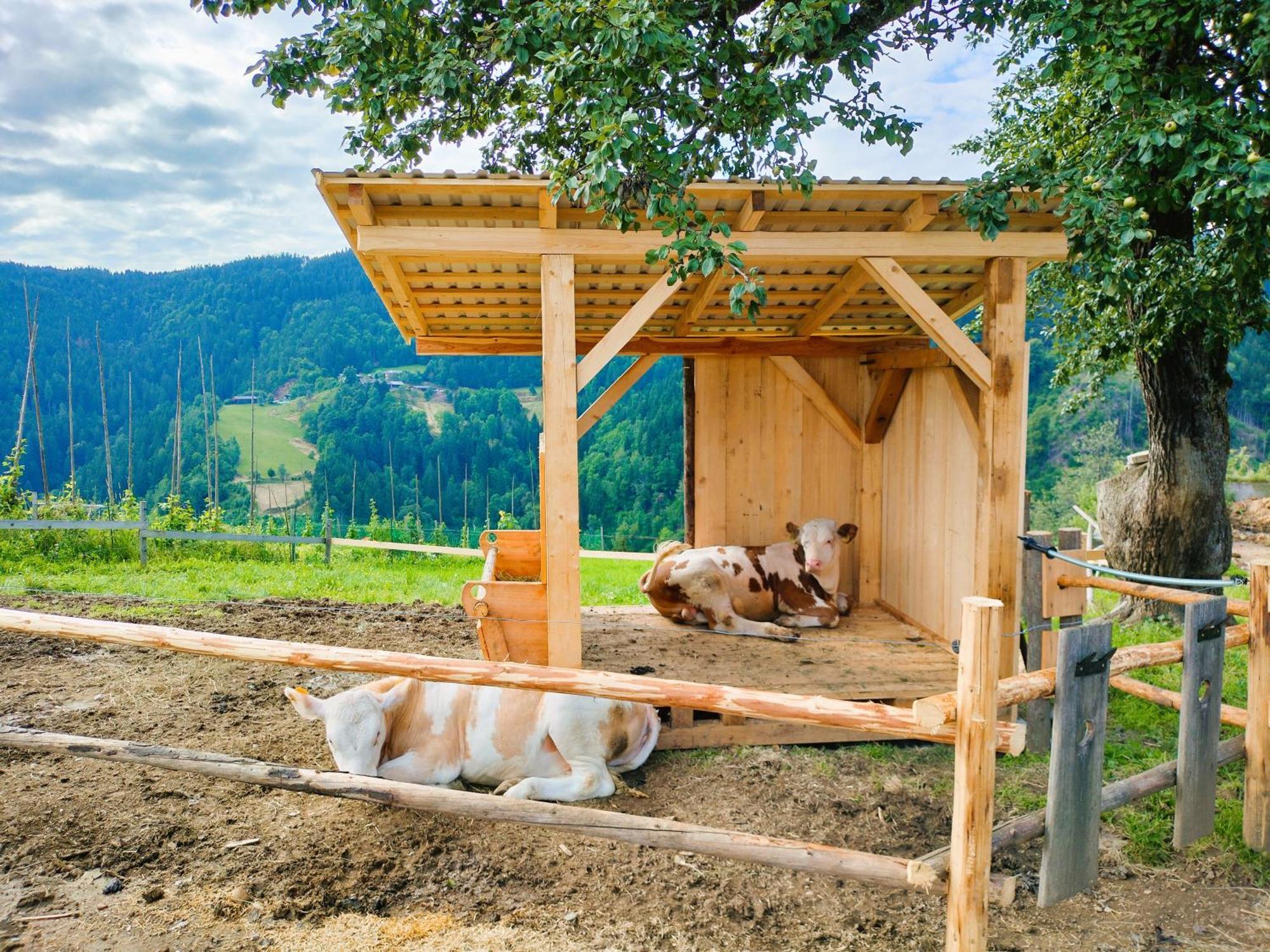 Organic Tourist Farm Gradisnik Alloggio per agriturismo *