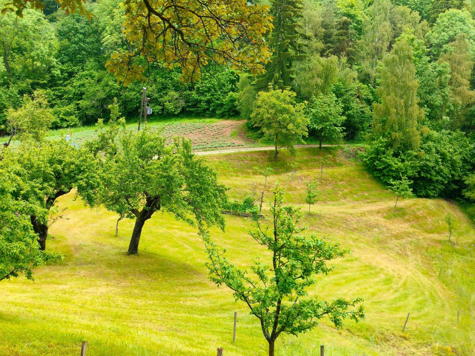 Organic Tourist Farm Gradisnik *