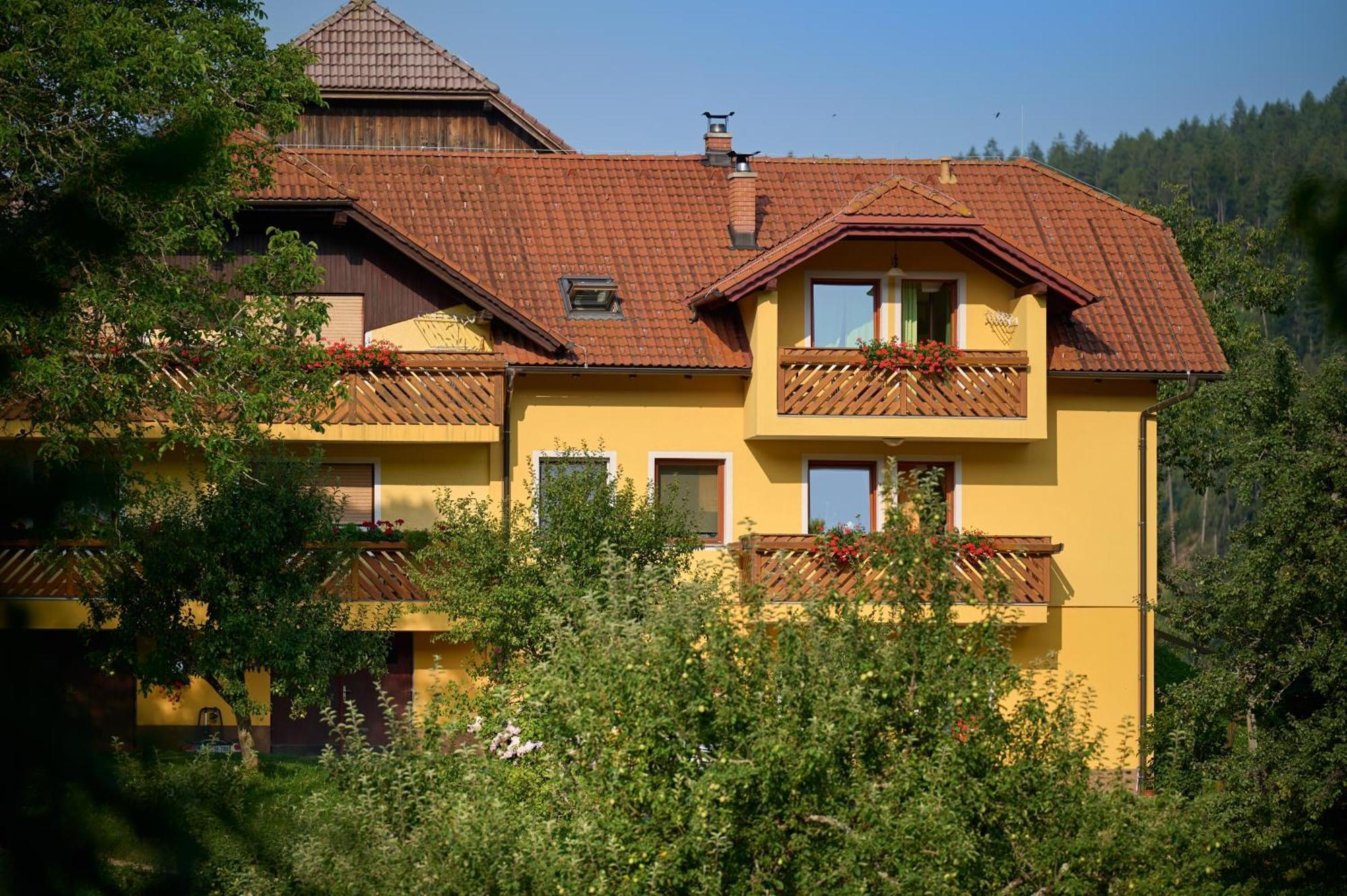 Organic Tourist Farm Gradisnik