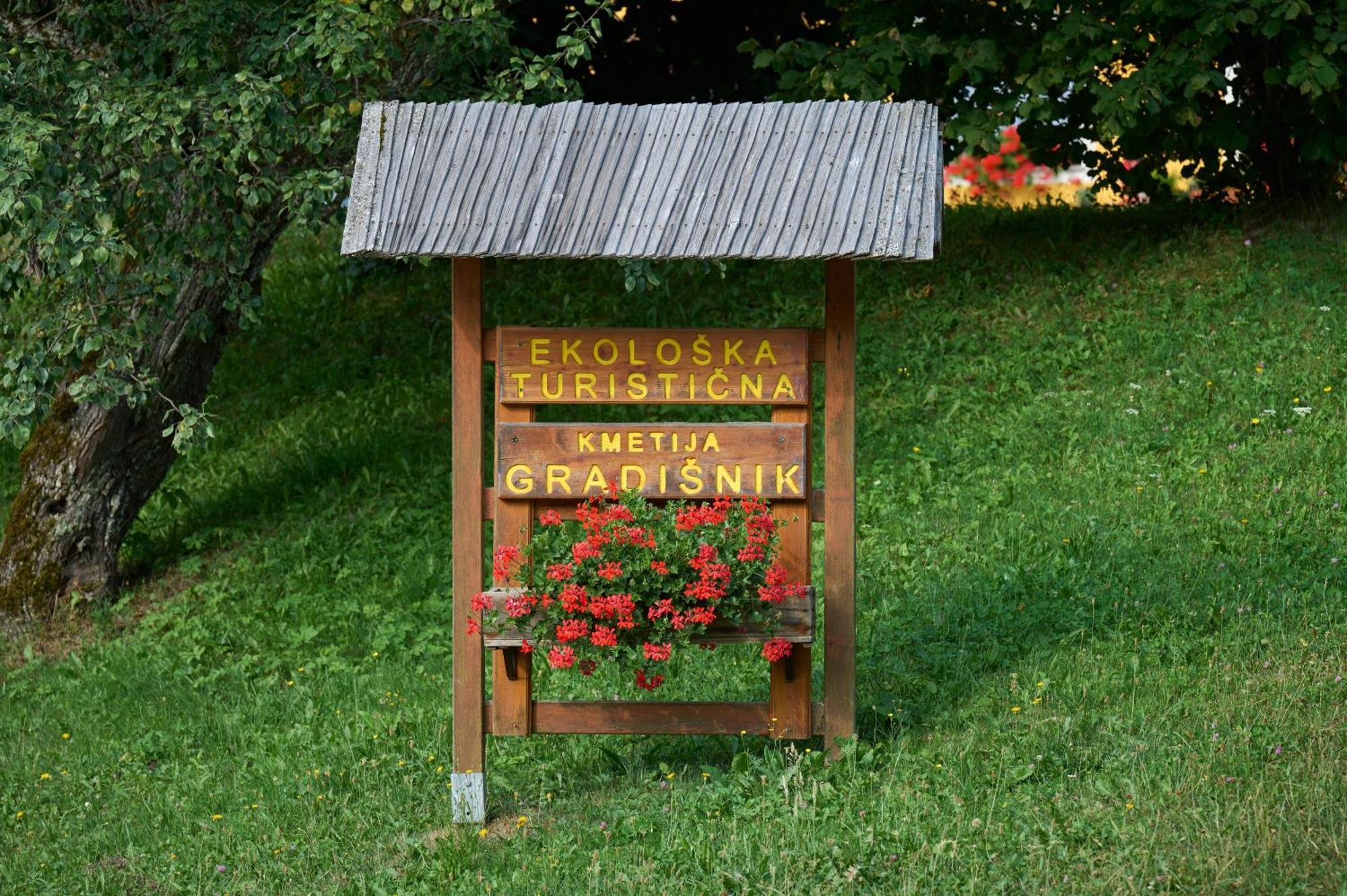 Alloggio per agriturismo Organic Tourist Farm Gradisnik