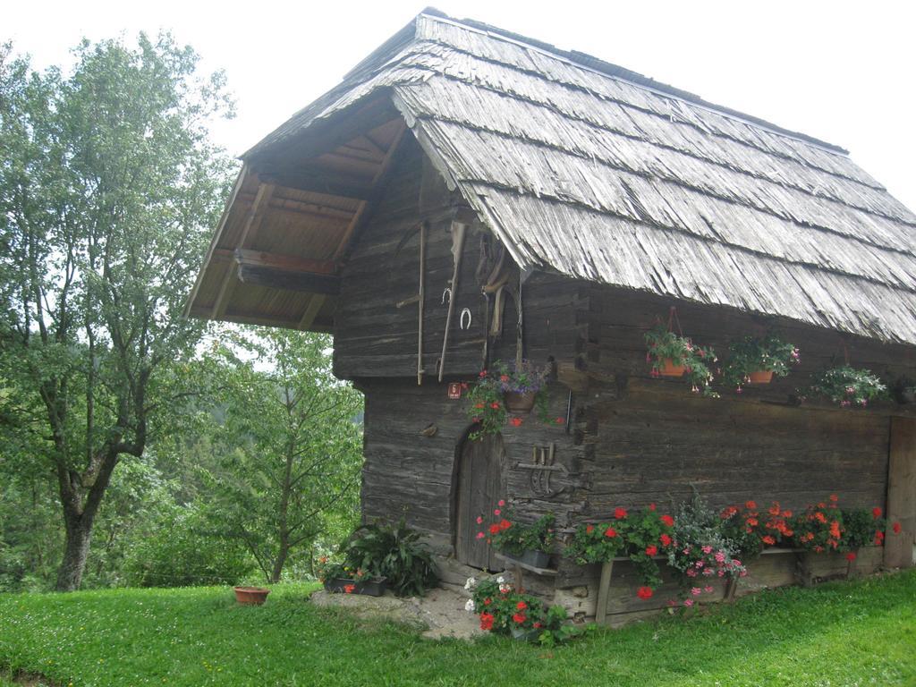 Organic Tourist Farm Gradisnik Alloggio per agriturismo *